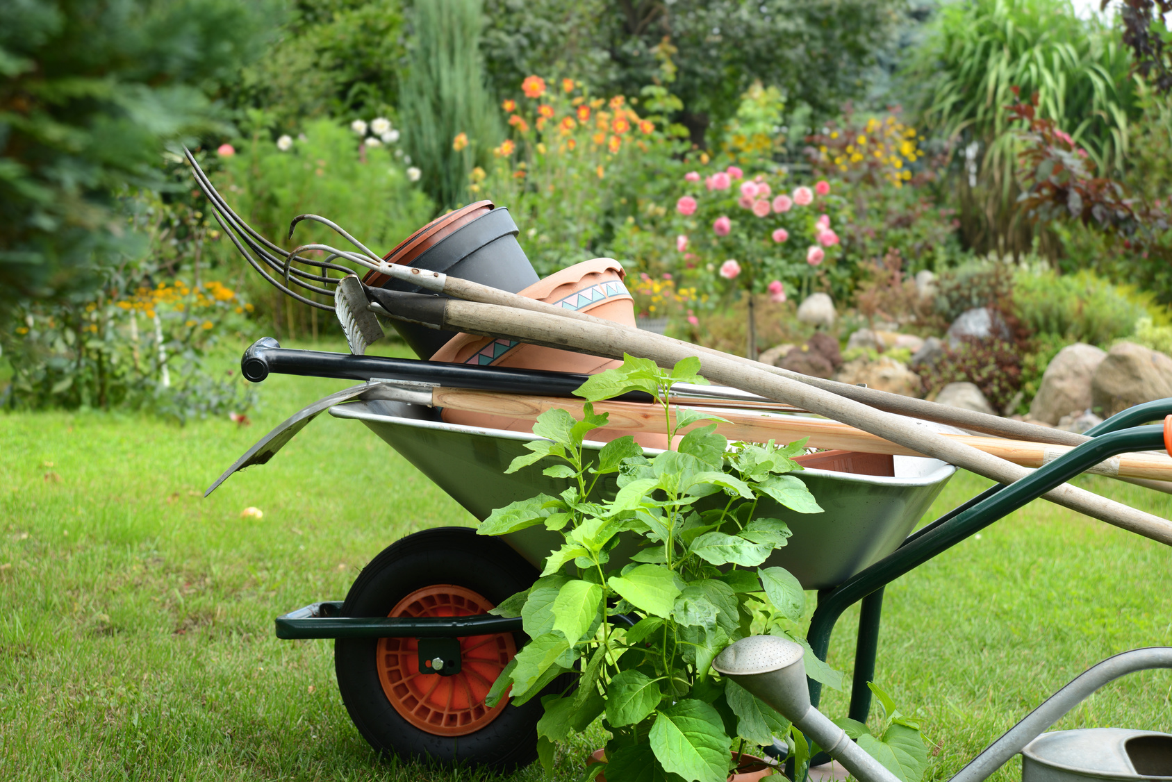 Gartenund Landschaftspflege für ein gepflegtes Äußeres